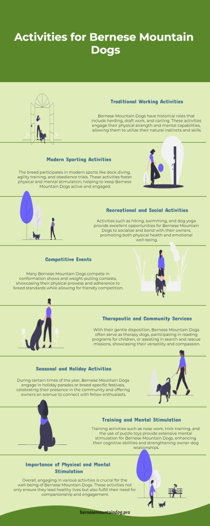 activities infographics