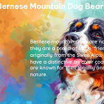 bernese mountain dog bears 2