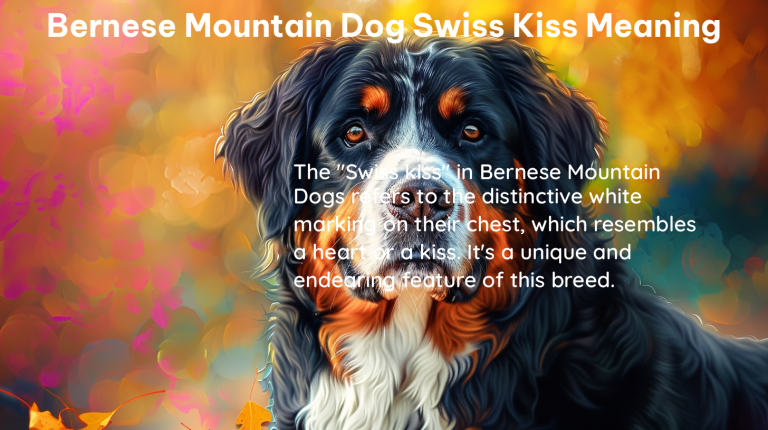 bernese mountain dog swiss kiss meaning