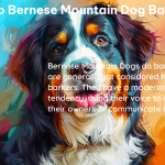 do bernese mountain dog bark