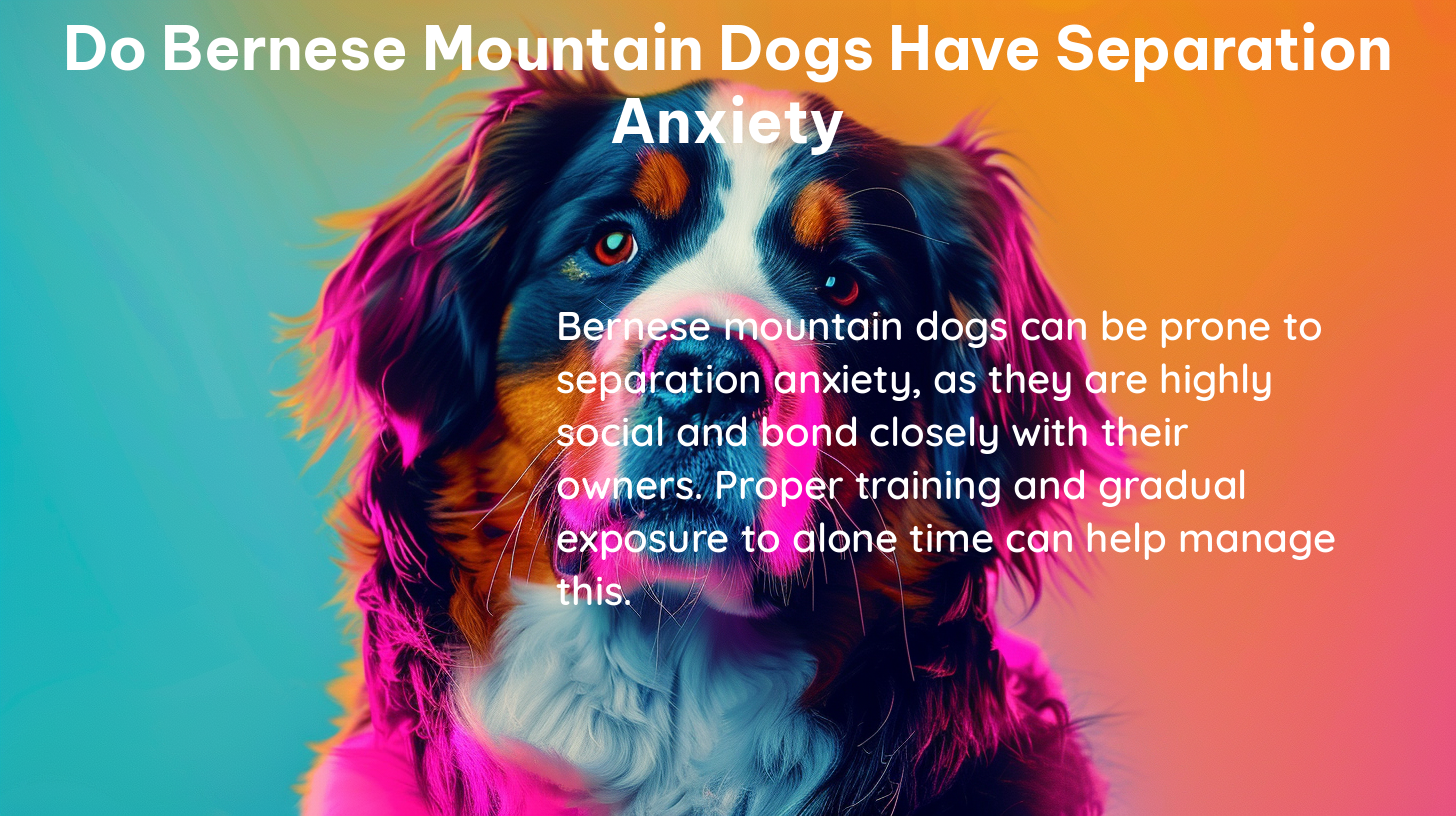 do bernese mountain dogs have separation