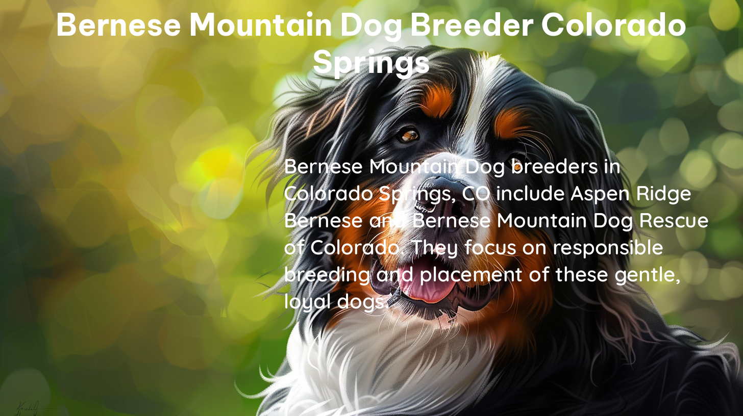 bernese mountain dog breeder colorado springs