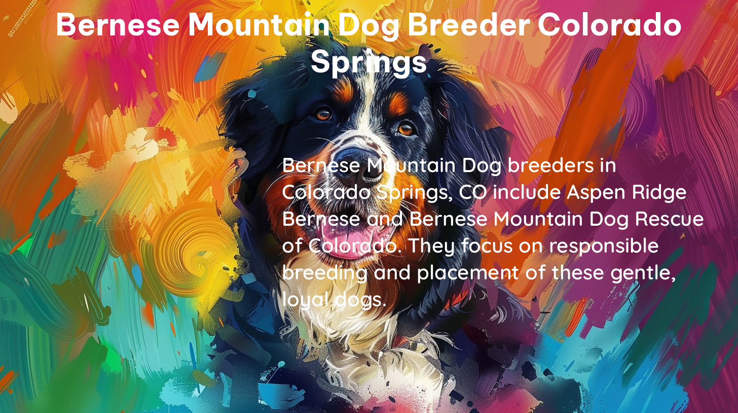 bernese mountain dog breeder colorado springs