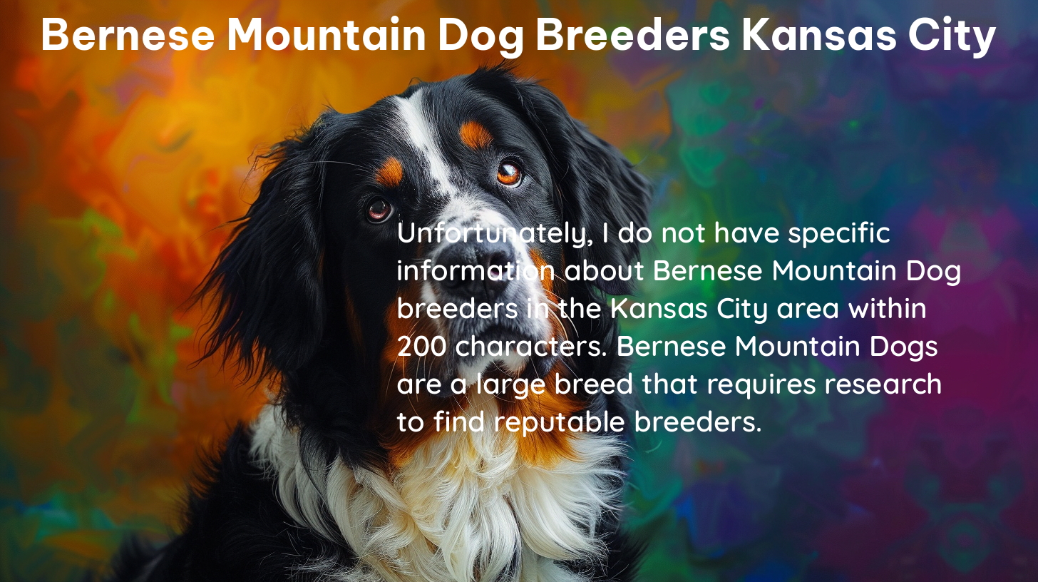 bernese mountain dog breeders kansas city