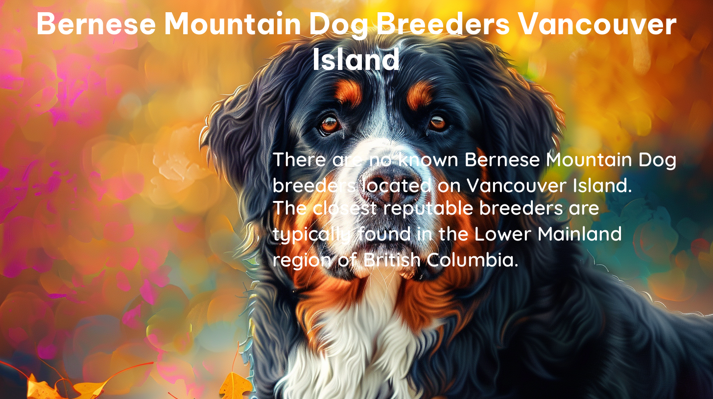 bernese mountain dog breeders vancouver island