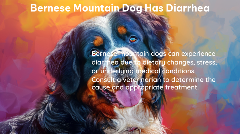 bernese mountain dog has diarrhea