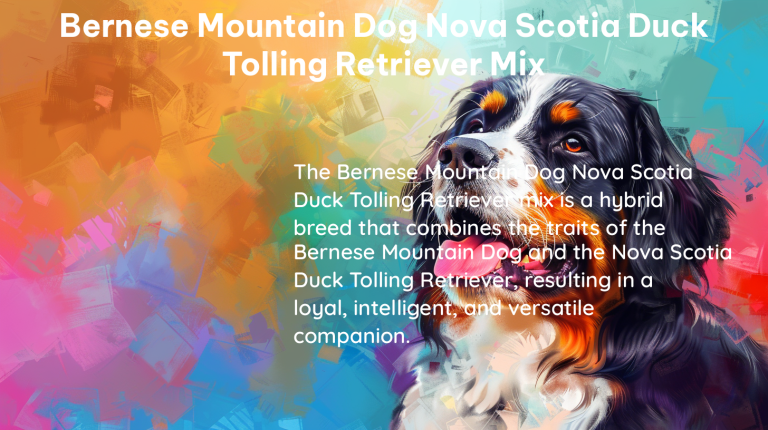 bernese mountain dog nova scotia duck tolling retriever mix