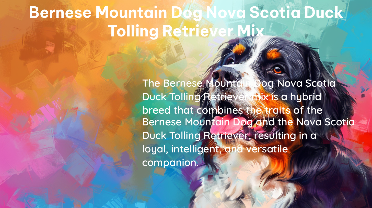 bernese mountain dog nova scotia duck tolling retriever