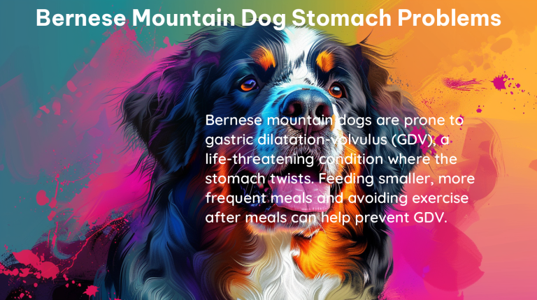 bernese mountain dog stomach problems