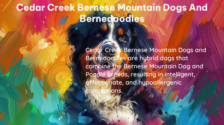 cedar creek bernese mountain dogs and bernedoodles