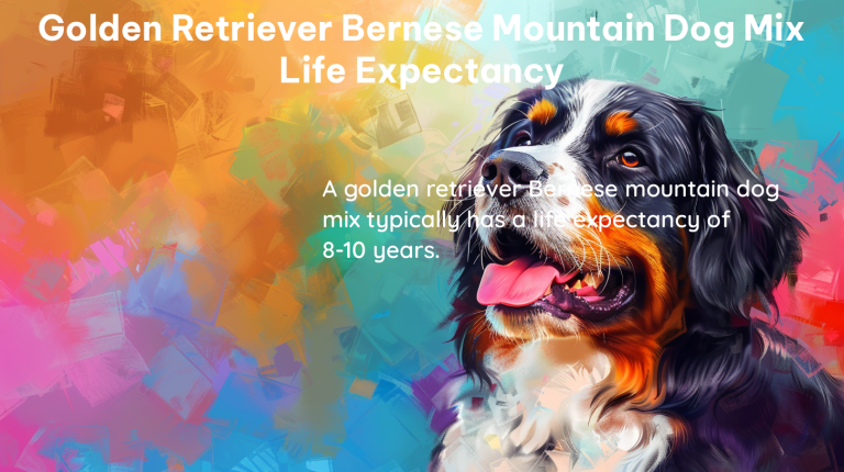 golden retriever bernese mountain dog mix life expectancy