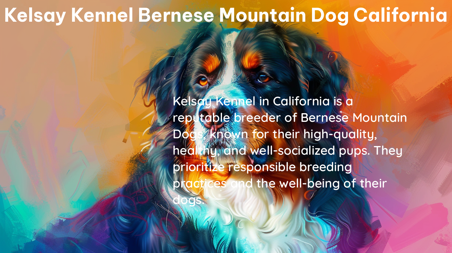 kelsay kennel bernese mountain dog california