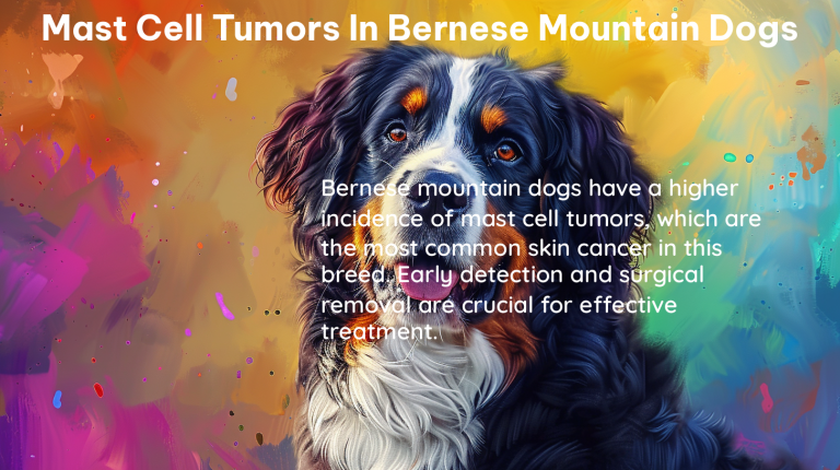 mast cell tumors in bernese mountain dogs