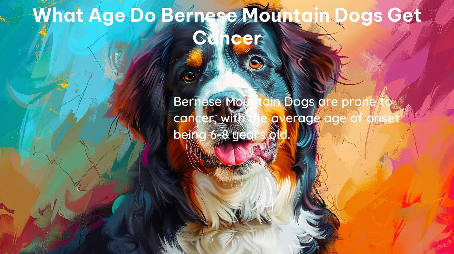 what age do bernese mountain dogs get cancer