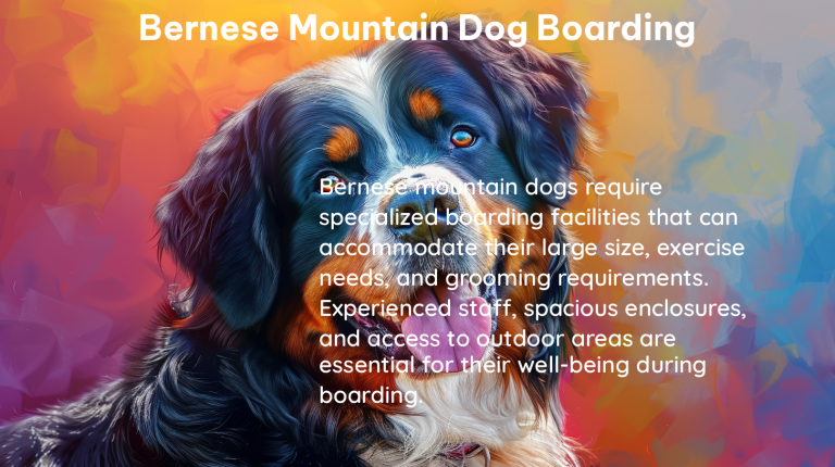 bernese mountain dog boarding