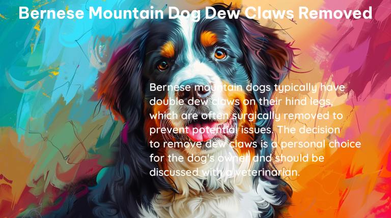 bernese mountain dog dew claws removed