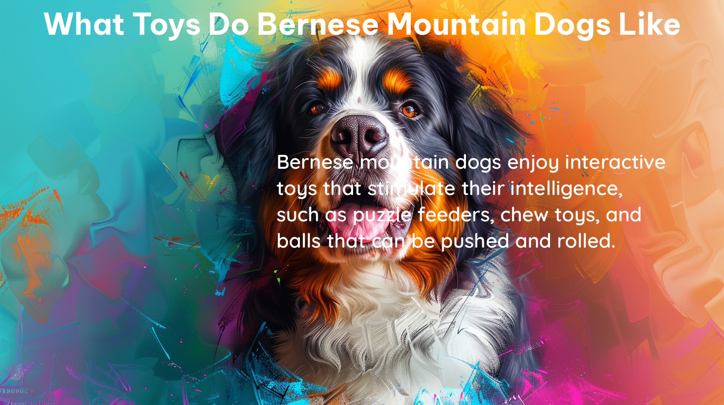 what toys do bernese mountain dogs like